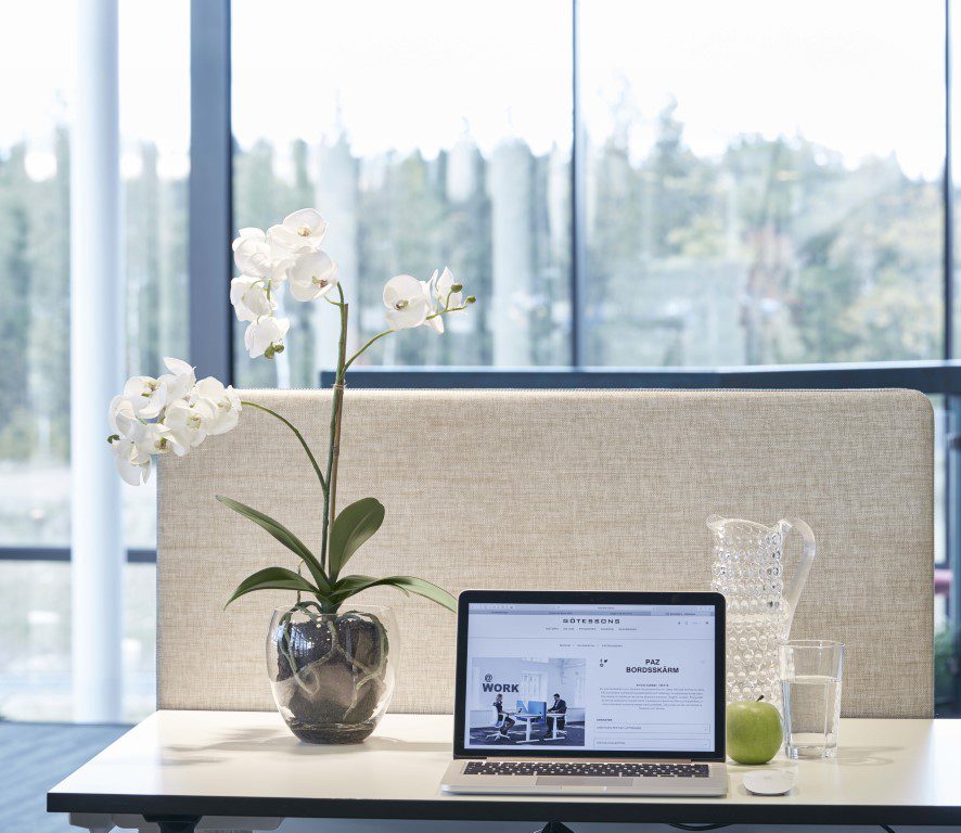 Kunstig plante Orkidé Phalaenopsis Hvit inkl. krukke - Bilde 4