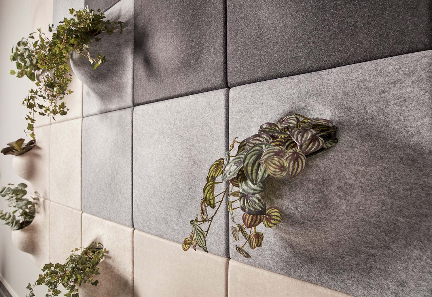 Plantpanel - Bilde 9