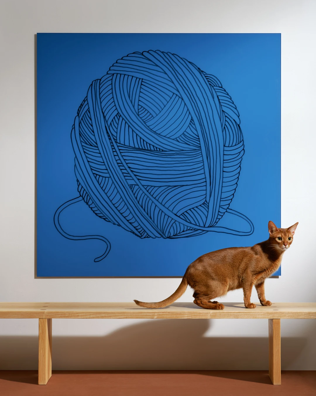Silk Wall - Bilde 5